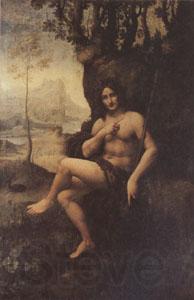 Leonardo  Da Vinci Bacchus (mk05) Norge oil painting art